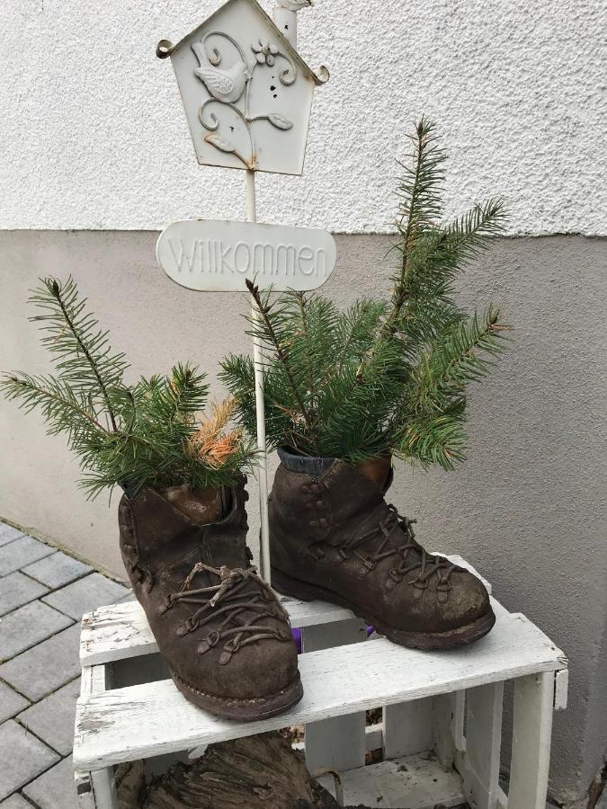 Ferienwohnung Stafflel - Wohlfuehlen Im Odenwald Schmal-Beerbach Екстериор снимка